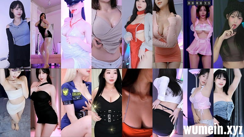 AfreecaTv韩国BJ 23年11月17日录制舞蹈合集