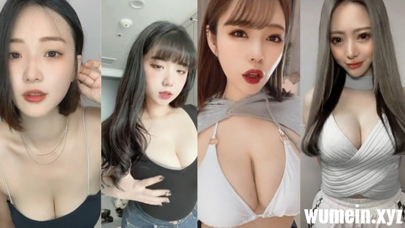 抖音TikTok国际版抖胸合集[178V/895.1M]
