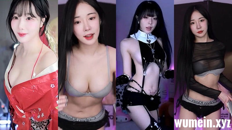 [韩国主播]Twitch韩国BJ24年1月精选舞蹈合集[33v/7.22G]