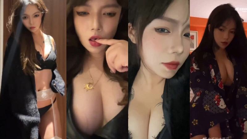 抖音飞天小女警付费粉丝专属大合集[213v/899.3M]